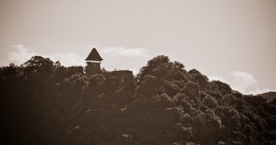 Невицький замок